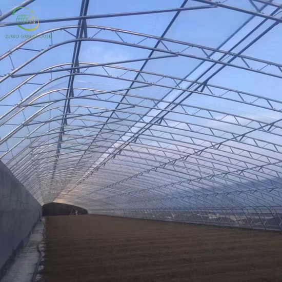 저렴한 가격의 비계 온실용 아연도금 탄소강관